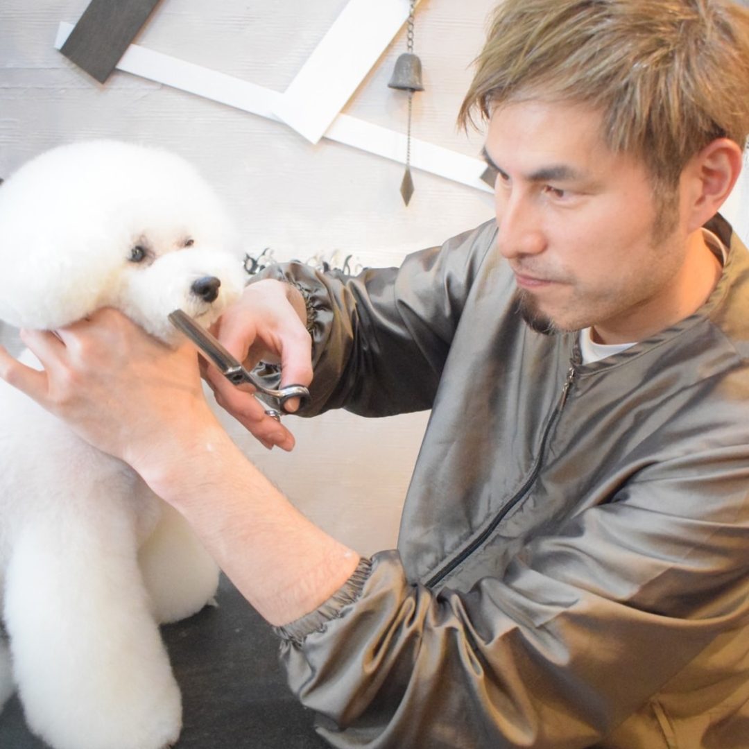 Dog salon OLLIE MAGIC-藤原直英